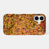 Goldene Herbstfarben Efeu Wand iPhone 16 Hülle (Rückseite (Horizontal))