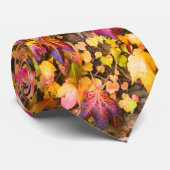 Goldene Herbstfarben Efeu Wand Krawatte (Gerollt)
