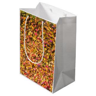 Goldene Herbstfarben Efeu Wand Mittlere Geschenktüte