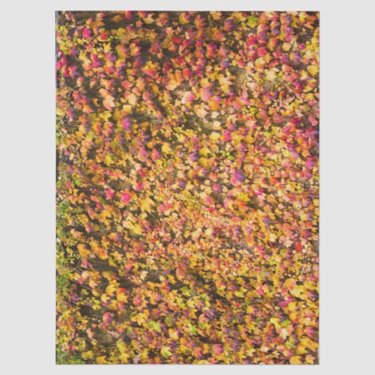 Goldene Herbstfarben Efeu Wand Seidenpapier (Vorderseite)