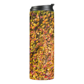 Goldene Herbstfarben Efeu Wand Thermosbecher