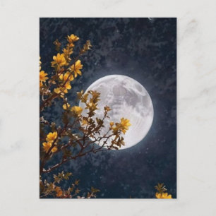 Goldene Herbstmond-Postkarte   Mondbeschienener Ba Postkarte