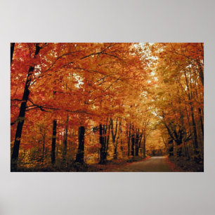 Goldene Herbststraße Poster