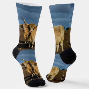 Goldene Highlands: Die Gnade der farbenfrohen Kühe Socken