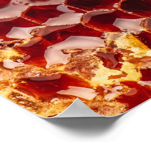 Goldene Honigwabe Poster (Ecke)