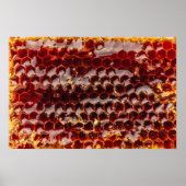 Goldene Honigwabe Poster (Vorne)