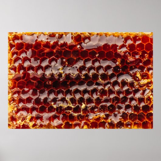 Goldene Honigwabe Poster (Vorne)