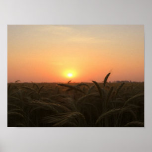Goldene Horizonte: Das sanfte Leuchten des Sonnenu Poster
