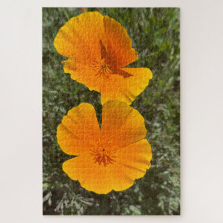 Goldene Kalifornische Mohnblumen in Blüte, Oakland Puzzle