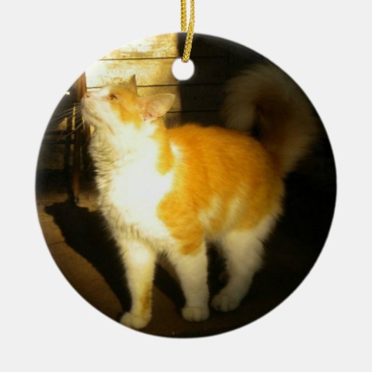 Goldene Katze Keramik Ornament (Vorne)