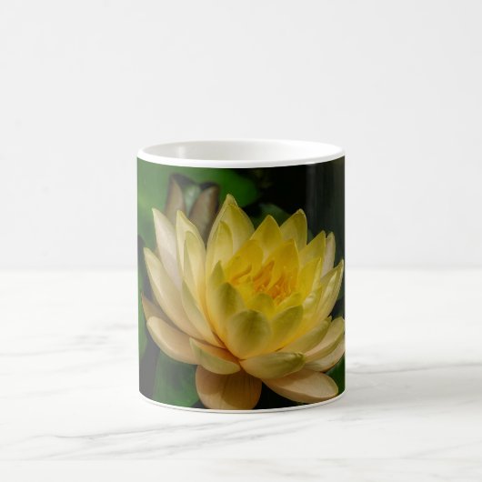 Goldene Kelch Kaffeetasse (Mittel)