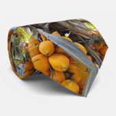 Goldene Kokosnüsse Krawatte (Gerollt)