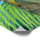 Goldene Kokosnüsse Poster (Ecke)