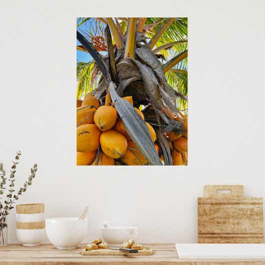 Goldene Kokosnüsse Poster (Küche)