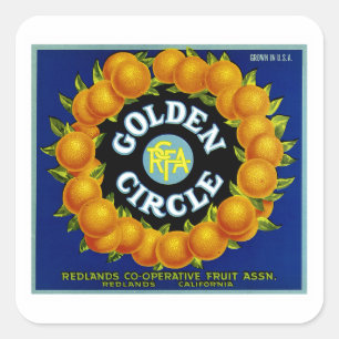 Goldene Kreis-Orangen Quadratischer Aufkleber