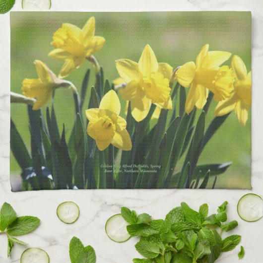 Goldene Küche Königs Alfred Daffodils Geschirrtuch (Gefaltet)