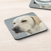 Goldene Labrador retriever-Fotografie Getränkeuntersetzer (Linke Seite)