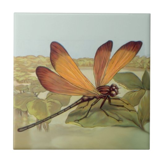 Goldene Libelle Fliese (Vorderseite)