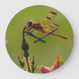 Goldene Libelle Große Wanduhr