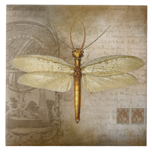 GOLDENE LIBELLE KACHEL
