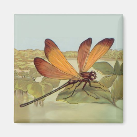 Goldene Libelle Magnet (Vorne)