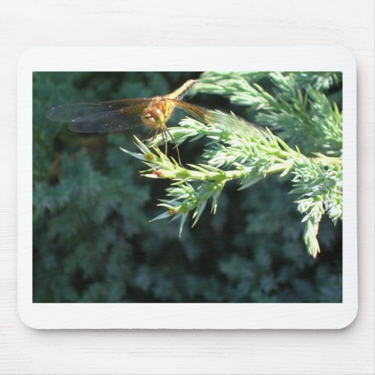 Goldene Libelle Mousepad (Vorne)
