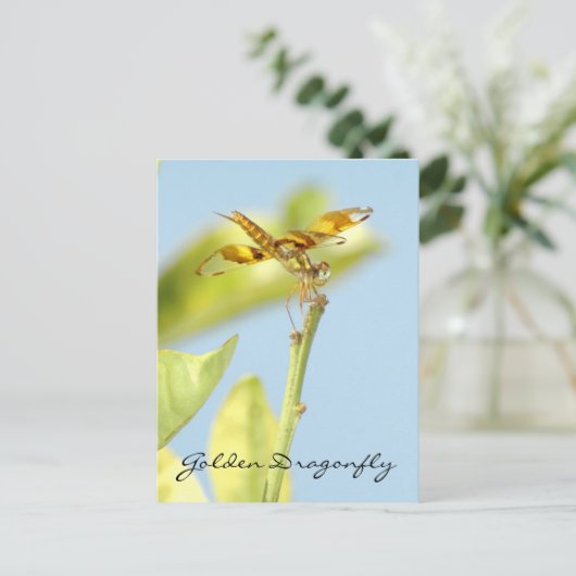 Goldene Libelle Postkarte (Stehend Vorderseite)