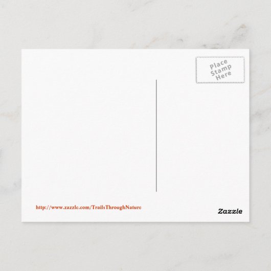 Goldene Libelle Postkarte (Rückseite)