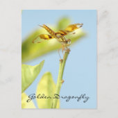 Goldene Libelle Postkarte (Vorderseite)