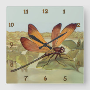 Goldene Libelle Quadratische Wanduhr