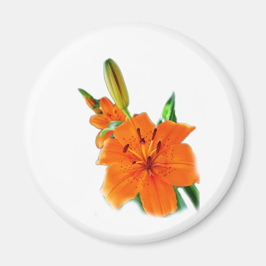 Goldene Liege Magnet (Vorne)