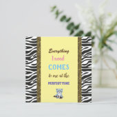 goldene Linien, Affirmation, Maraccoon (Stehend Vorderseite)