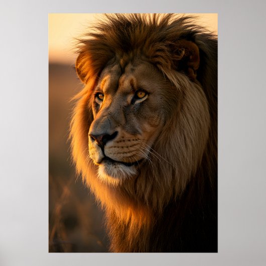 Goldene Majestät: Die Regierung des Königs Poster (Vorne)