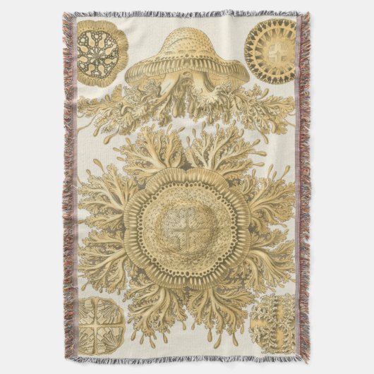 Goldene Meerestiere Decke (Vorderseite Vertikal)