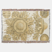 Goldene Meerestiere Decke (Vorderseite)