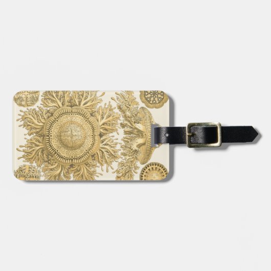 Goldene Meerestiere Gepäckanhänger (Vorderseite horizontal)