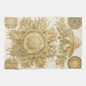 Goldene Meerestiere Geschirrtuch (Horizontal)