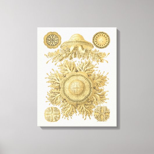 Goldene Meerestiere Leinwanddruck (Vorderseite)