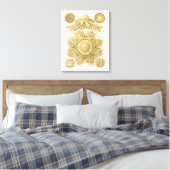 Goldene Meerestiere Leinwanddruck (Insitu (Schlafzimmer))