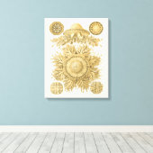 Goldene Meerestiere Leinwanddruck (Insitu (Holzboden))