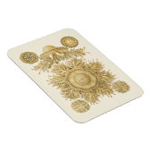 Goldene Meerestiere Magnet (Rechte Seite)