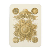 Goldene Meerestiere Magnet (Vertikal)