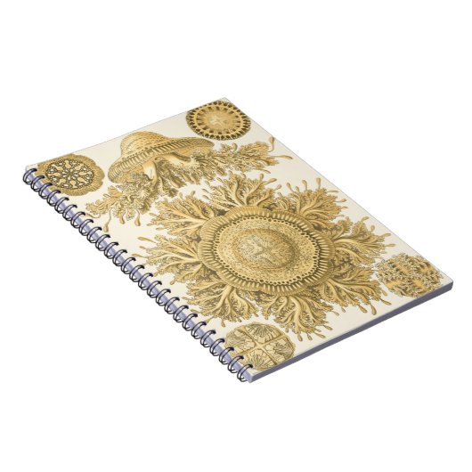 Goldene Meerestiere Notizblock (Rechte Seite)