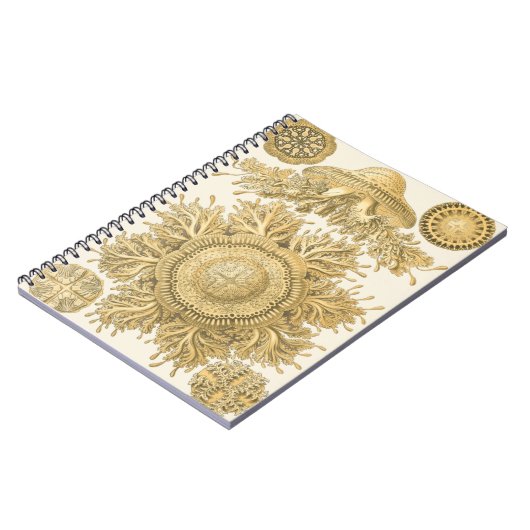 Goldene Meerestiere Notizblock (Linke Seite)