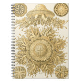 Goldene Meerestiere Notizblock (Vorderseite)