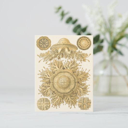 Goldene Meerestiere Postkarte (Stehend Vorderseite)