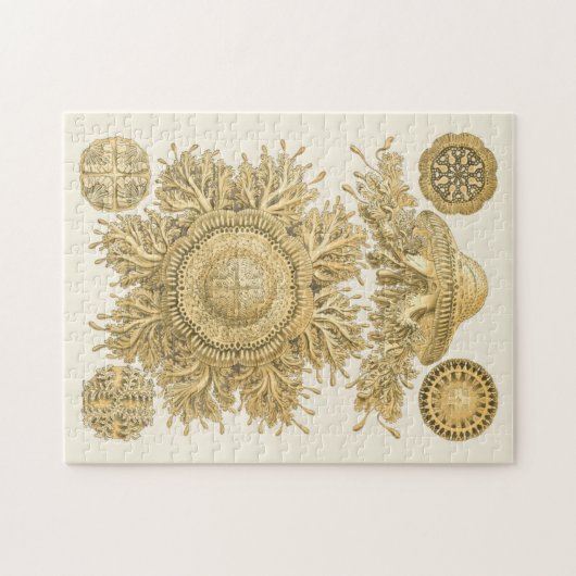 Goldene Meerestiere Puzzle (Horizontal)