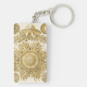 Goldene Meerestiere Schlüsselanhänger (Rückseite)