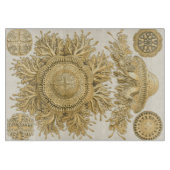 Goldene Meerestiere Schneidebrett (Vorderseite)