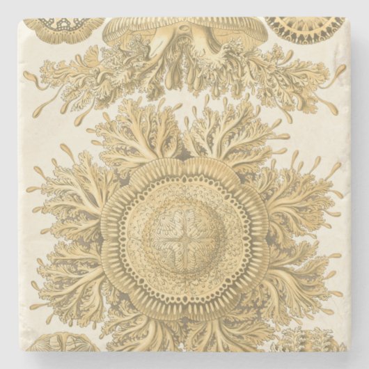 Goldene Meerestiere Steinuntersetzer (Vorderseite)